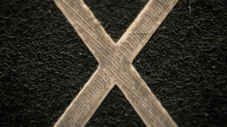 Illustration for article titled Super close up images of common objects are beautifully alien